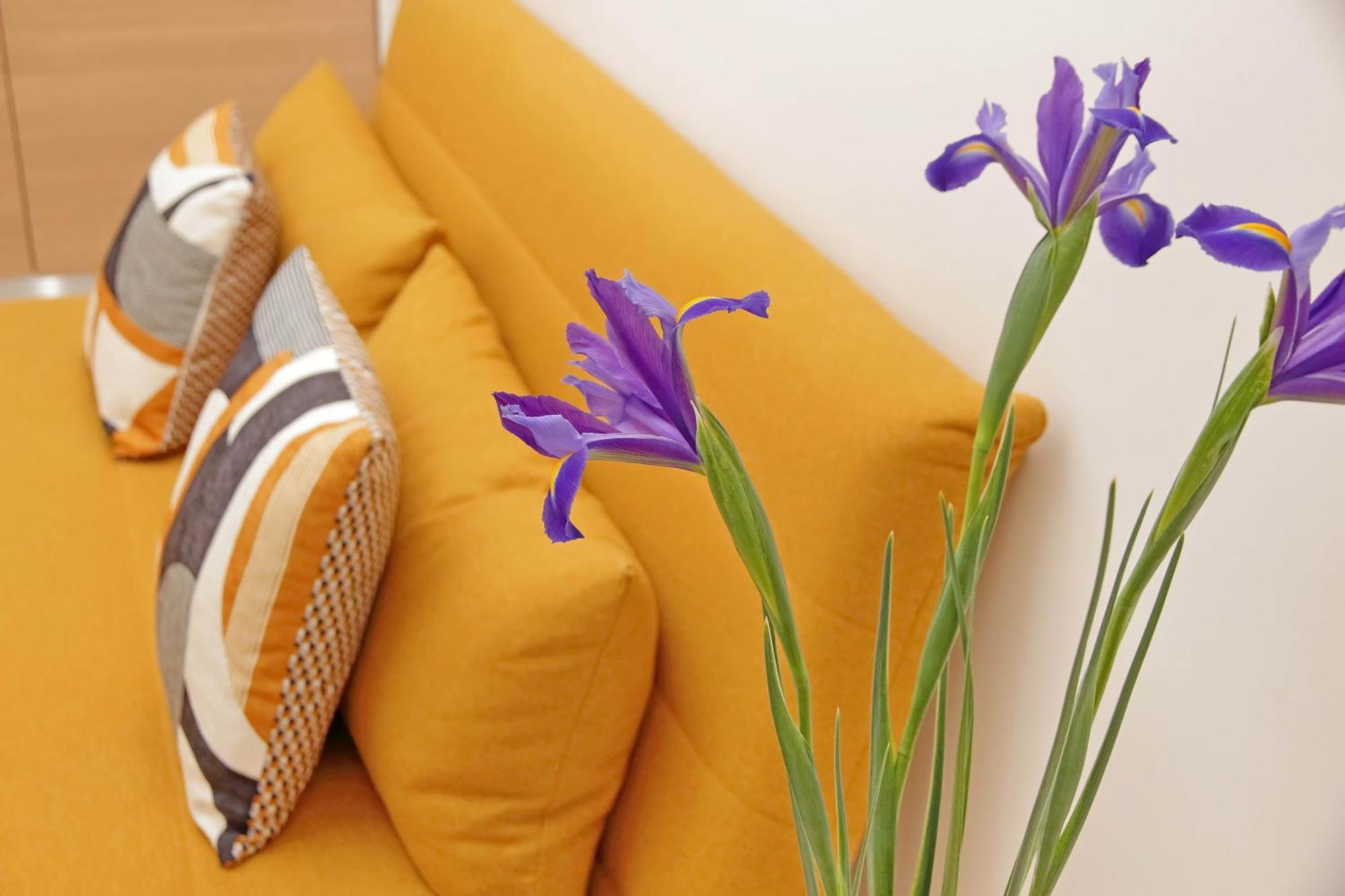 Roma & Amor Apartment Dış mekan fotoğraf